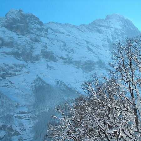 Hotel Gletschergarten Grindelwald Esterno foto