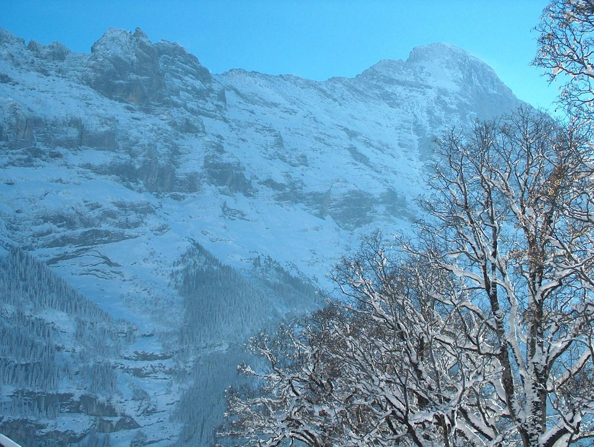 Hotel Gletschergarten Grindelwald Esterno foto