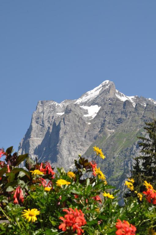 Hotel Gletschergarten Grindelwald Esterno foto